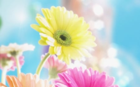 soft flowers - many, flower, yellow, pink