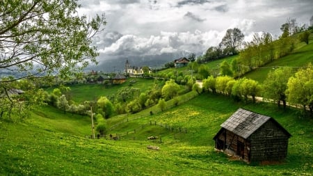 Village - nature, Village, grass, tree, sky