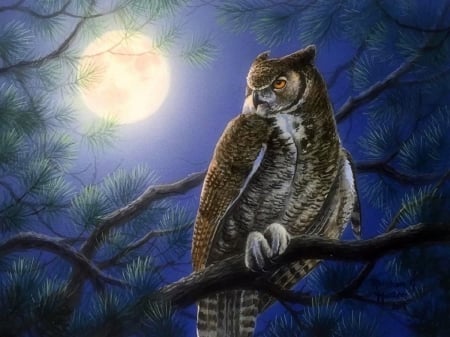 Moonlight Owl - owl, moons, summer, paintings, spring, love four seasons, pine cones, animals