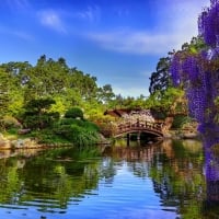 Bridge in spring park