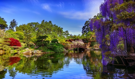 Bridge in spring park - branches, lake, freshness, trees, greenery, park, spring, serenity, tranquility, wisteria, reflection, mirror, beautiful, river, bridge, pond