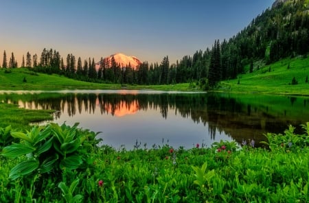 Mountain greenery - greenery, hills, beautiful, landscape, grass, forest, lovely, reflection, calmness, wildflowers, mirror, tranquility, serenity, lake, sky