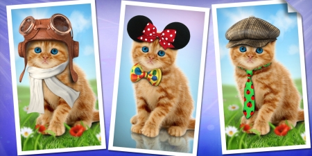 Kittens - hat, glasses, funny, pisica, kitten, ginger, bow, tie, animal, orange, green, photo, cute, fantays