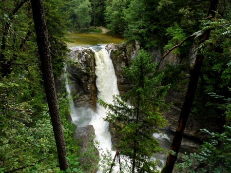 Waterfall - forest, trees, river, cascades