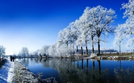 Winter River - nature, trees, snow, river, winter