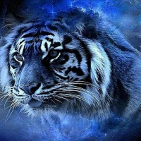 'Mystical tiger'......