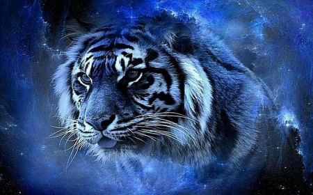 'Mystical tiger'...... - tiger, spirit, blue, mystical