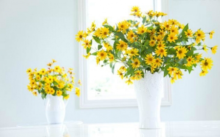 Still Life - white, flowers, still life, container