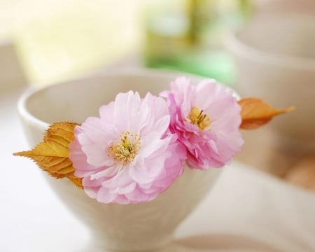 Bowl of Flowers - flowers, bowl, petals, soft