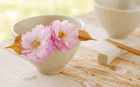 Bowl of Flowers - bloom, flowers, petals, bowl