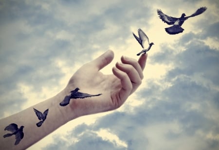 Free - tattoo, sky, dove, blue, hand, black, bird