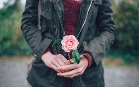 Thank you! - flower, thank you, pink, hand, woman