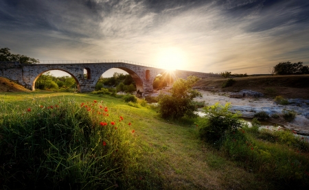 Poppies at sunrise - poppies, summer, beautiful, sunrise, spring, grass, glow, river, rays, sky, bridge