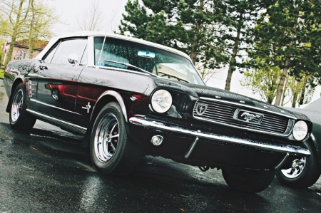 Ford Mustang - car, mustang, ford mustang, muscle car, ford, classic