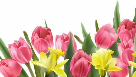 Tulips and Daffodils - flowers, tulips, garden, spring, daffodils, bulbs