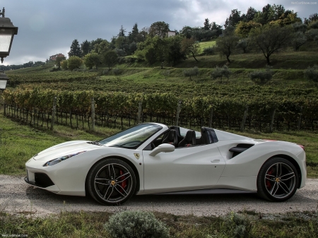 2016 Ferrari 488 Spider - Ferrari, 2016, car, Spider, 488