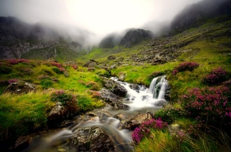 Misty slope - stream, creek, beautiful, slope, wildflowers, hills, grass, mist, mountain