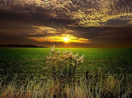 The Edge of the Sky - clouds, sunset, nature, edge, field, sky