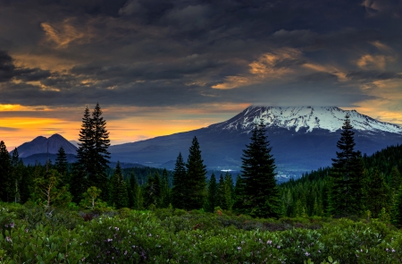 Signs of Storm - sky, landscape, clouds, trees, sunset