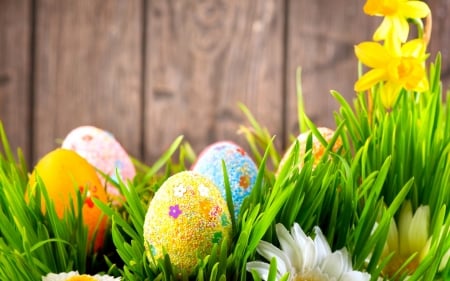 Happy Easter! - yellow, blue, wood, grass, flower, easter, white, green, egg, card