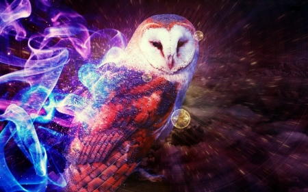 'Mystic owl'...... - owls, birds, spirit, mystical, mystic