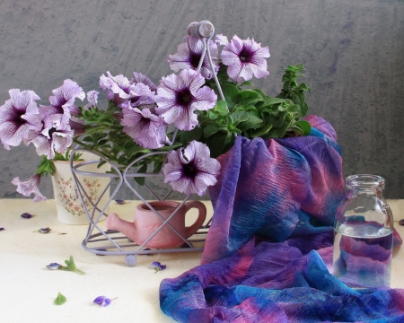 Still Life - bouquet, tender, still life, spring, cloth, watering can, purple, blossoms, petals, beautiful, petunia, water can, bottle, flowers