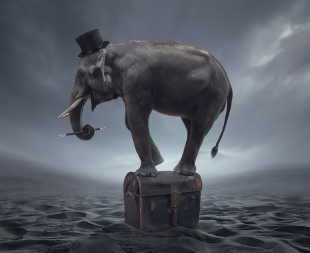 Elephant in danger - hat, chest, water, creative, black, fantasy, elephant, situation, animal, sea