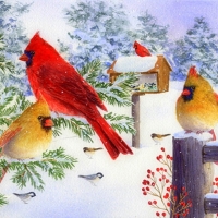 Cardinals I n The Snow