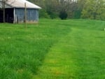 Shed In The Fields