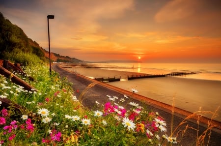 Sunrise over Sandown bay - beach, sky, water, sunset, bay, sandown, coast, amazing, reflection, morning, ocean, glow, pier, fiery, beautiful, sea, sunrise, wildflowers