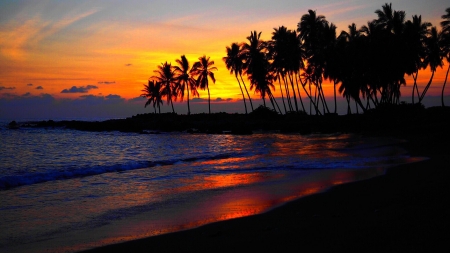 Beautiful Sunset - nature, beach, trees, shadow