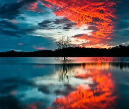 Sunset Reflected in Water - nature, lake, trees, forest, reflection, clouds, water, sunset