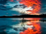 Sunset Reflected in Water