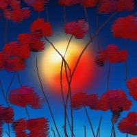 Sunset between flowers