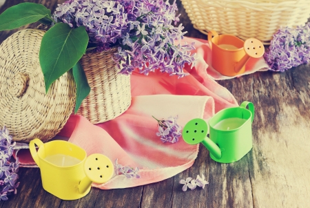 Still Life - lilacs, nature, flowers, colors, lilac, still life