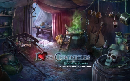 Love Chronicles 5 - Beyond the Shadows07 - hidden object, cool, video games, fun, puzzle