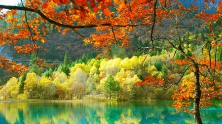 Amazing nature - nature, colors, lake, tree