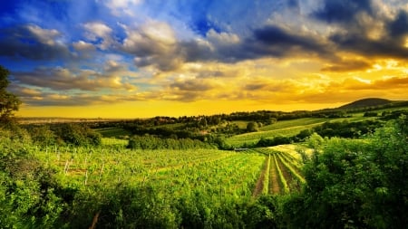 Wonderful Sky - orange, fields, nature, blue