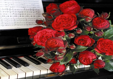 Roses waltz - piano, roses, buds, petals, still life, bouquet, flowering, flowers, music, colorful, nature, red, walts