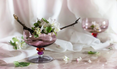 Spring - blooming, glass, spring, still life, abstract, white, twig, background, photography