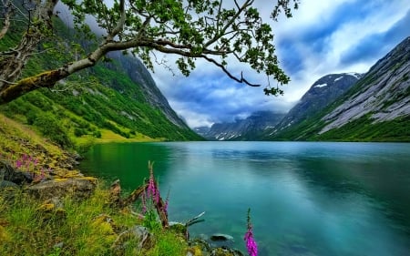 Calm mountain lake - calm, beautiful, landscape, reflection, mountain, wildflowers, clear, serenity, lake