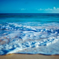 Sea