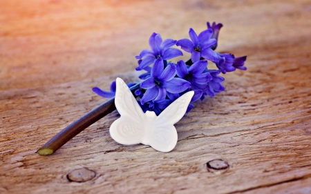 Happy spring! - wood, spring, flower, white, purple, hyacinth, butterfly, card, paper