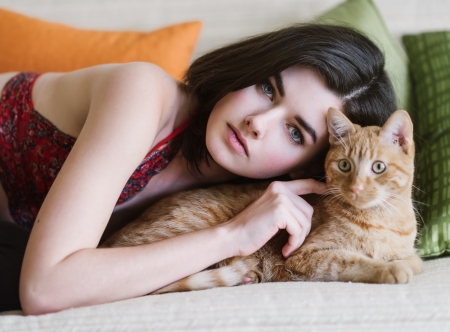 Brunette - ginger cat, ginger, lying, brunette, cat