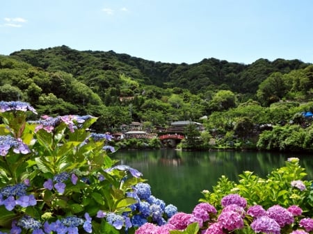 City Lake - forest, city lake, flowers, house, trees, nature, hydrangea