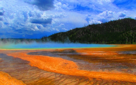 Yellowstone National Park,USA - clouds, steam, trees, nature, gayser, park, sky, yellowstone