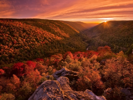 Autumn Forest - nature, autumn, landscape, trees, forest, colors, sunset, lights