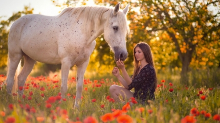 Special Bond Between Friends - girl, female, cowgirl, field, horse, tree, brunette, flowers, poppies