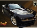 Trans Am- Bandit Edition