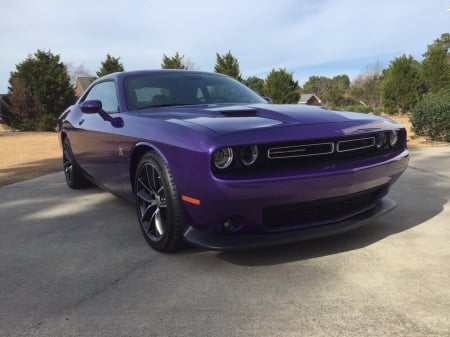 Challenger SP - hemi, plum crazy, challenger, dodge